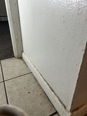 Before & After Deep Cleaning in Parma, OH (1)